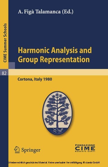 Harmonic Analysis and Group Representations main product photo