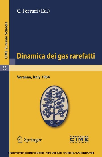 Dinamica dei gas rarefatti main product photo