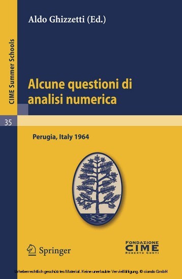 Alcune questioni di analisi numerica main product photo