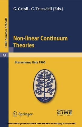 Non-linear Continuum Theories
