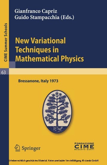 New Variational Techniques in Mathematical Physics main product photo