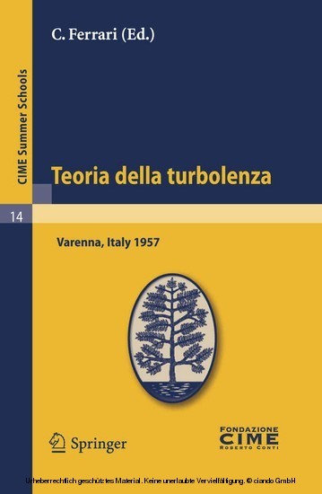 Teoria della turbolenza main product photo