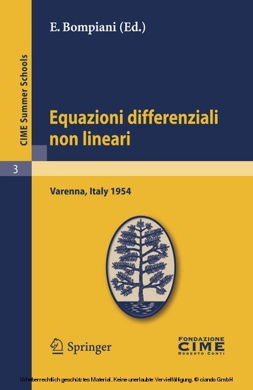 Equazioni differenziali non lineari main product photo