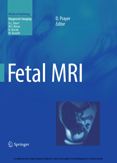 Fetal MRI main product photo