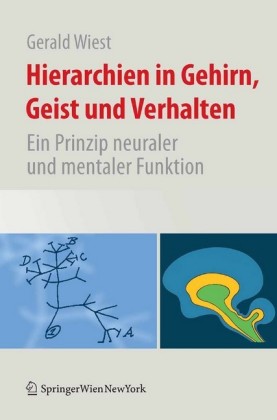 Hierarchien in Gehirn, Geist und Verhalten