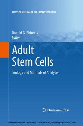Adult Stem Cells