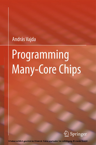Programming Many-Core Chips main product photo