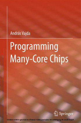 Programming Many-Core Chips