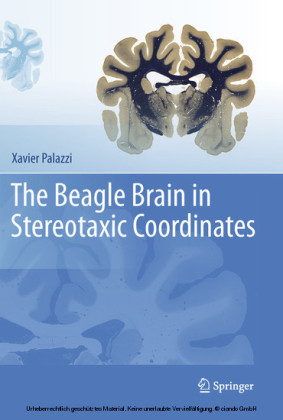 The Beagle Brain in Stereotaxic Coordinates