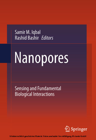 Nanopores main product photo