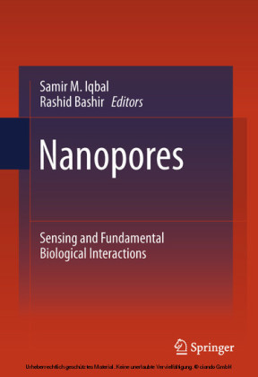 Nanopores