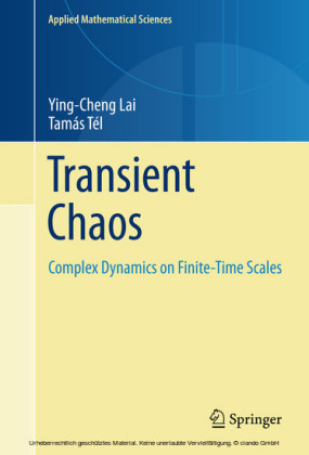 Transient Chaos