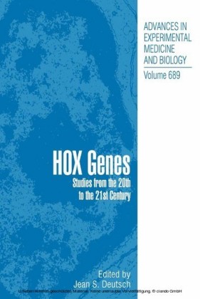 Hox Genes