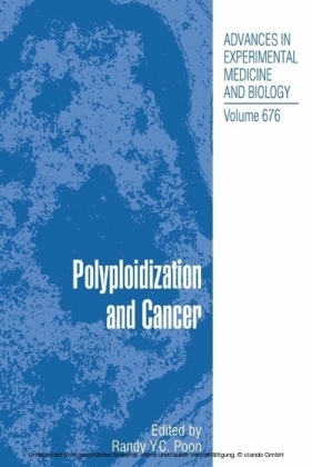 Polyploidization and Cancer