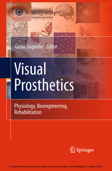 Visual Prosthetics main product photo