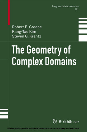 The Geometry of Complex Domains