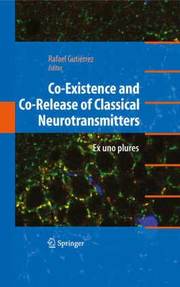 Co-Existence and Co-Release of Classical Neurotransmitters