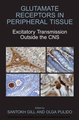 Glutamate Receptors in Peripheral Tissue