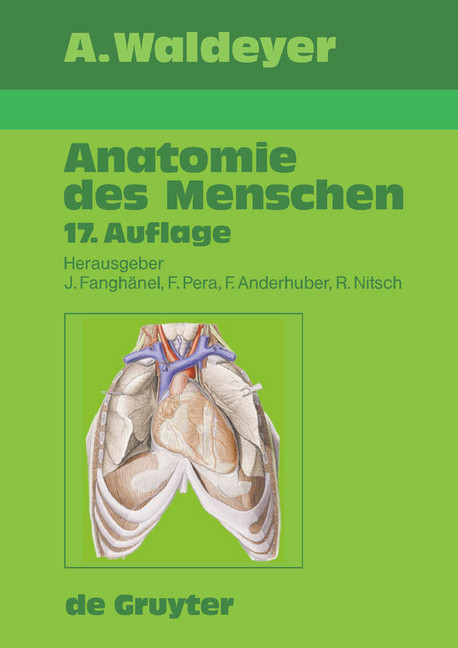 Waldeyer - Anatomie des Menschen main product photo