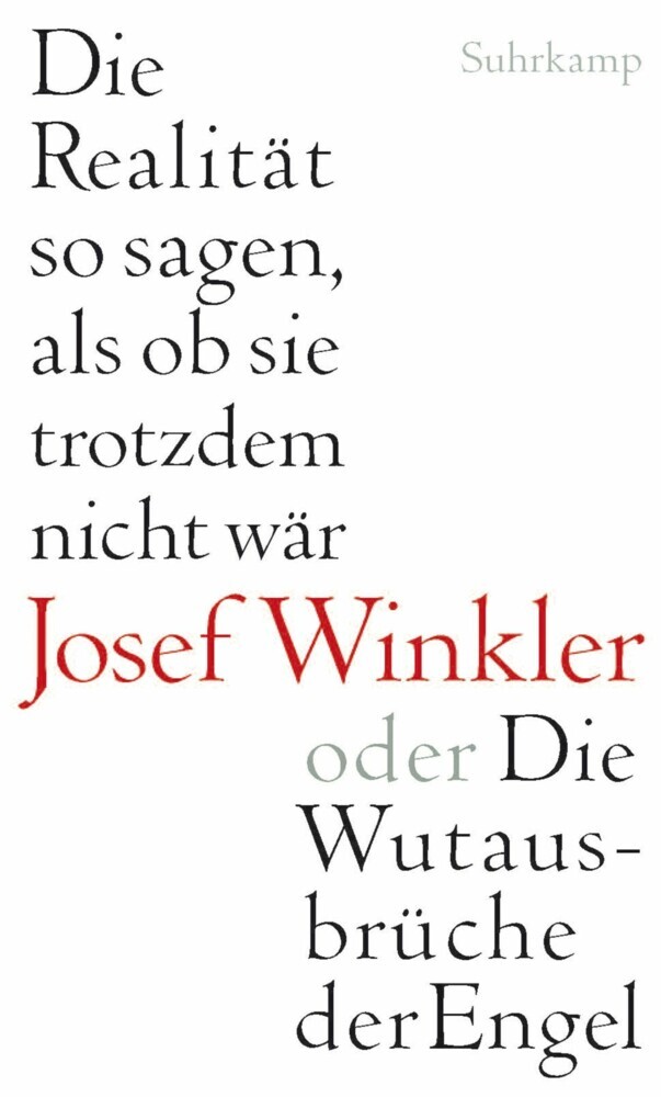 Die Realität so sagen, als ob sie trotzdem nicht wär oder Die Wutausbrüche der Engel main product photo