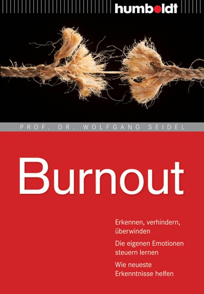 Burnout main product photo