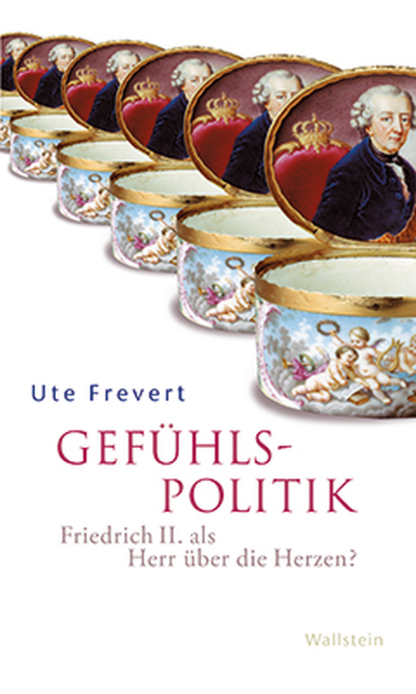 Gefühlspolitik main product photo