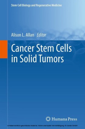Cancer Stem Cells in Solid Tumors