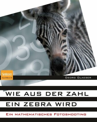 Wie aus der Zahl ein Zebra wird