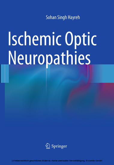 Ischemic Optic Neuropathies main product photo