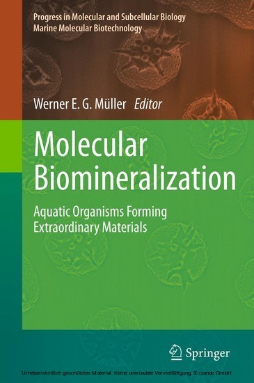 Molecular Biomineralization main product photo