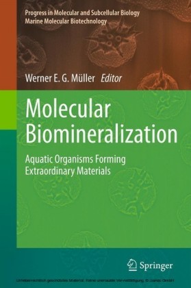 Molecular Biomineralization