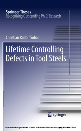 Lifetime Controlling Defects in Tool Steels