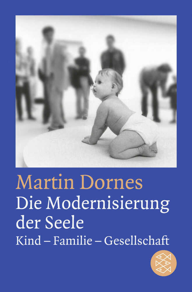 Die Modernisierung der Seele main product photo