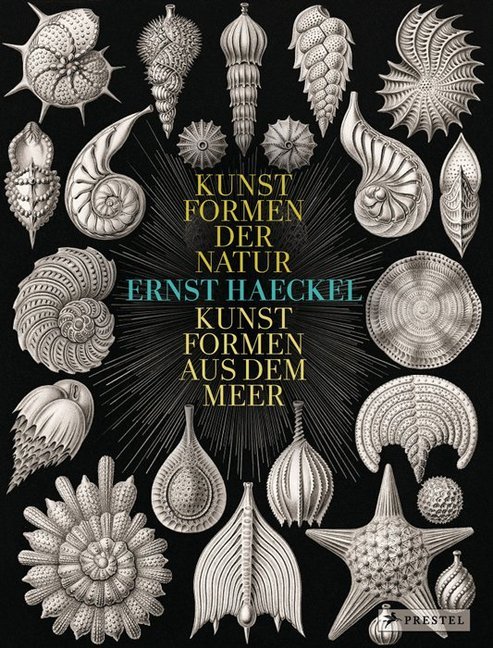 Ernst Haeckel main product photo