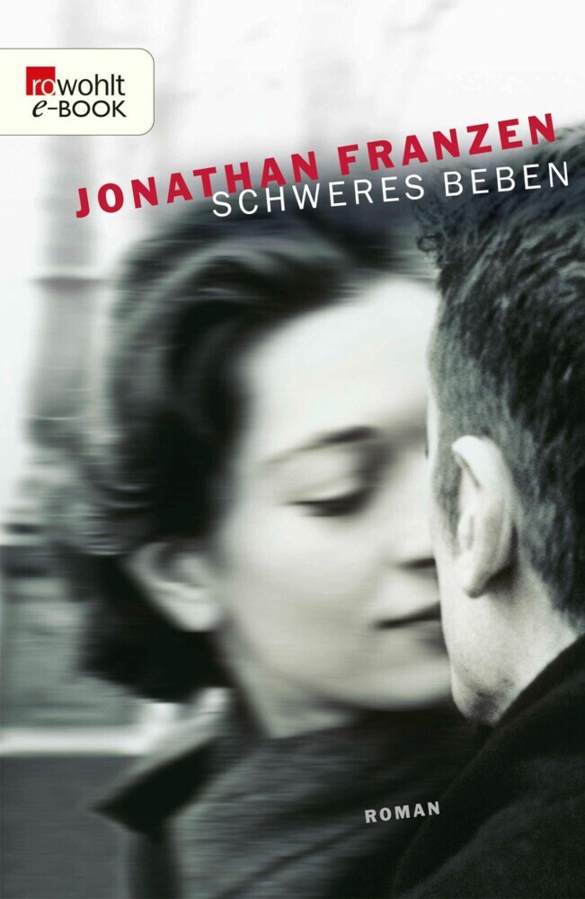 Schweres Beben main product photo
