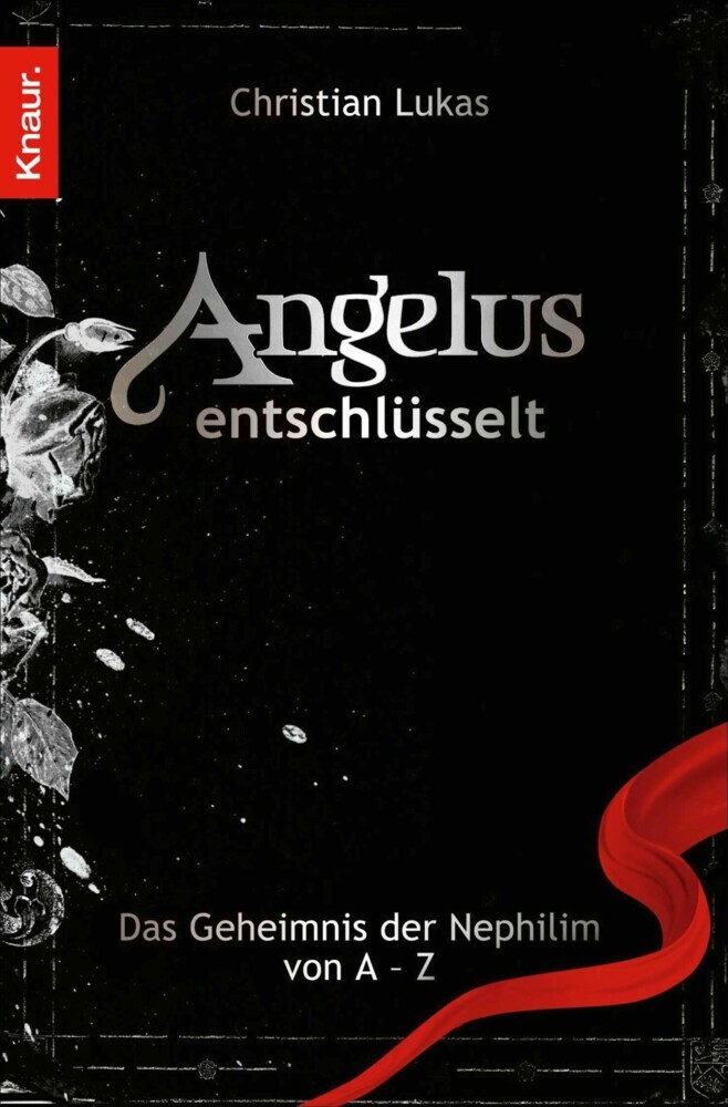 Angelus entschlüsselt main product photo