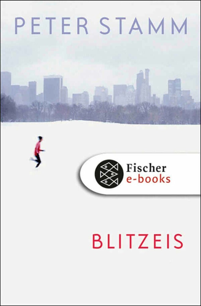Blitzeis main product photo