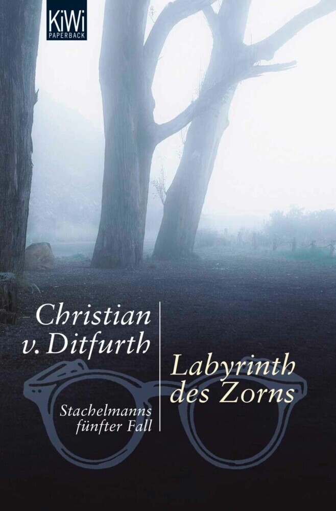 Labyrinth des Zorns main product photo