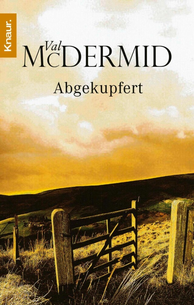 Abgekupfert main product photo