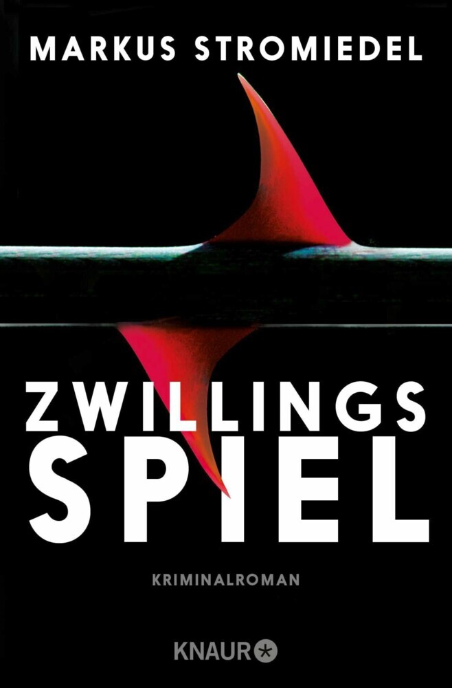 Zwillingsspiel main product photo
