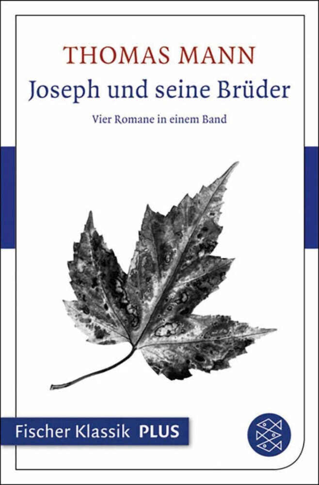 Joseph und seine Brüder main product photo