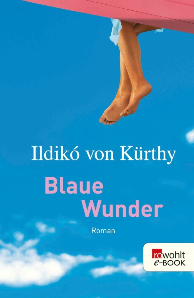 Blaue Wunder main product photo