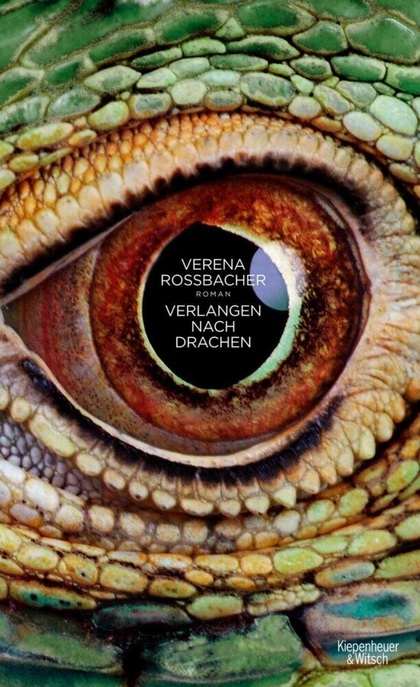 Verlangen nach Drachen main product photo