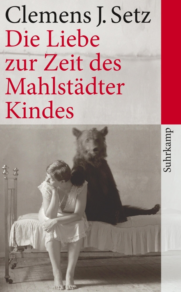 Die Liebe zur Zeit des Mahlstädter Kindes main product photo