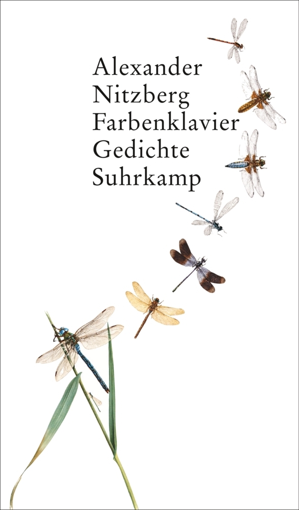 Farbenklavier main product photo