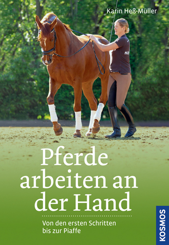 Pferde arbeiten an der Hand main product photo