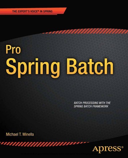 Pro Spring Batch main product photo