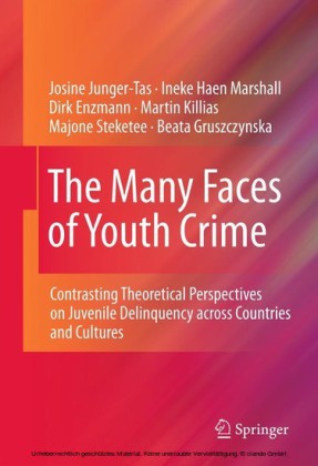 The Many Faces of Youth Crime