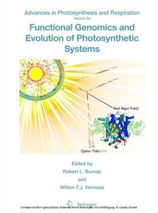 Functional Genomics and Evolution of Photosynthetic Systems