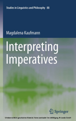 Interpreting Imperatives